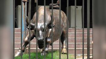 Markets: When all signs are negative, there's still hope