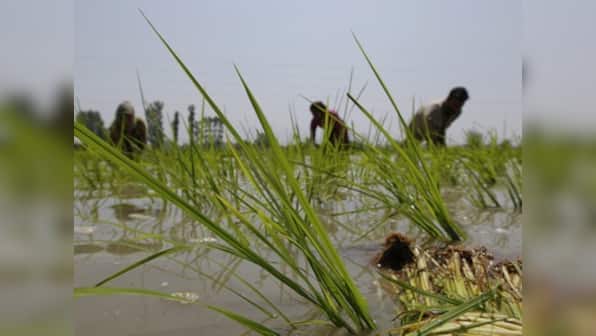 Onions pile up more misery, food inflation spikes to 9.80%