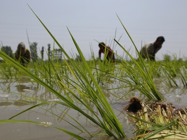 Onions pile up more misery, food inflation spikes to 9.80% Onions pile up more misery, food inflation spikes to 9.80%