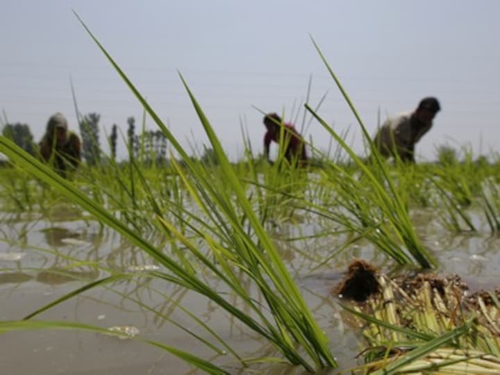 Onions pile up more misery, food inflation spikes to 9.80%