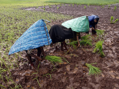 The rain gods are smiling, so expect a good kharif crop The rain gods are smiling, so expect a good kharif crop