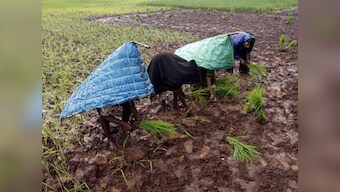  The rain gods are smiling, so expect a good kharif crop 