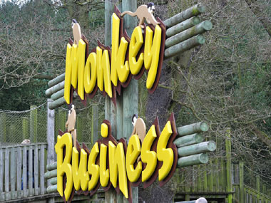 Introducing, two Monkey Portfolios for investors Introducing, two Monkey Portfolios for investors