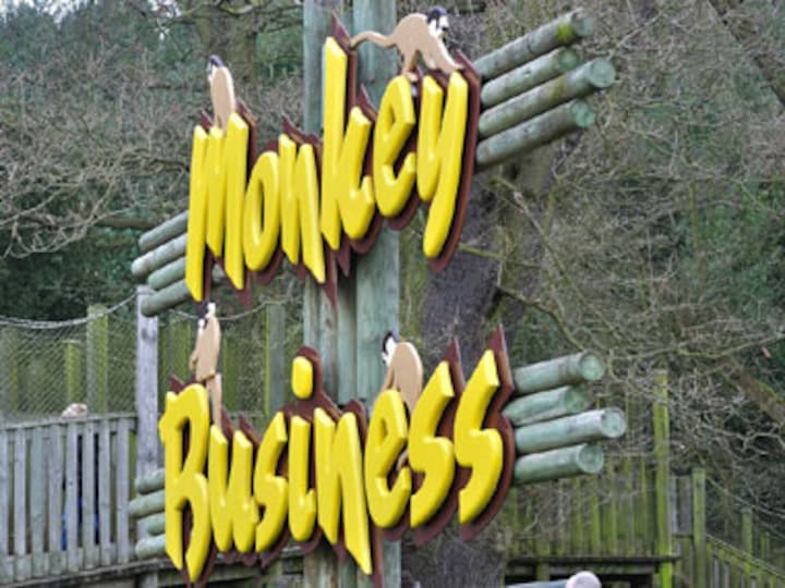 Monkey 2 regains mojo, leaps ahead of Sensex and brokers