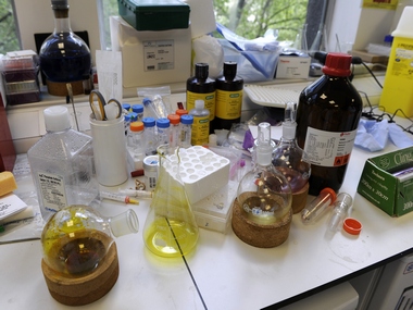 US doctors worried about drugs manufactured by Indian pharma US doctors worried about drugs manufactured by Indian pharma