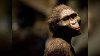 Man's earliest ancestors lived nearly 2 million years ago 