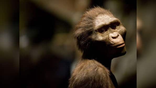 Man's earliest ancestors lived nearly 2 million years ago 