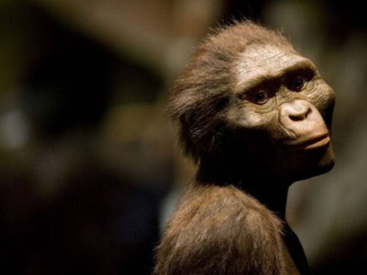 Man's earliest ancestors lived nearly 2 million years ago Man's earliest ancestors lived nearly 2 million years ago