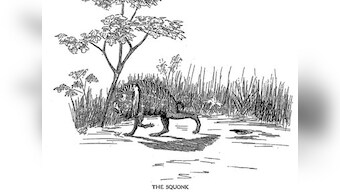 Squonks and other fascinating imaginary beings  