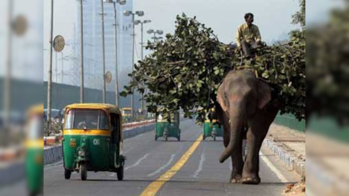 'Death to the Auto': 9 reasons to ditch the autorickshaw – Firstpost
