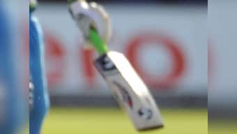 Willow on the wane, Kashmir cricket bat faces extinction