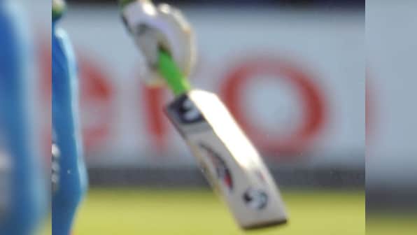 Willow on the wane, Kashmir cricket bat faces extinction