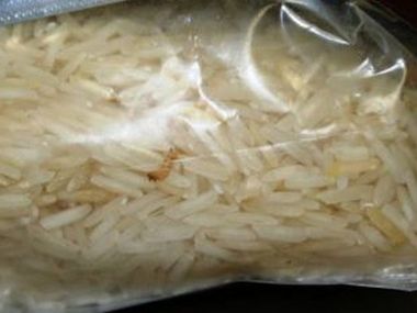 Certify that your basmati doesn't have bugs: US to India Certify that your basmati doesn't have bugs: US to India