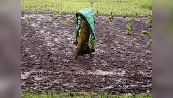 Monsoon likely to hit Kerala on 4 June; India to receive less than normal rainfall this season, predicts Skymet