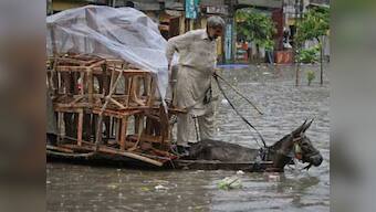 UN steps in to help flood raveges Pakistan 