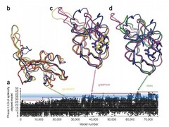 Solving the Puzzle of 2D Disorder, News