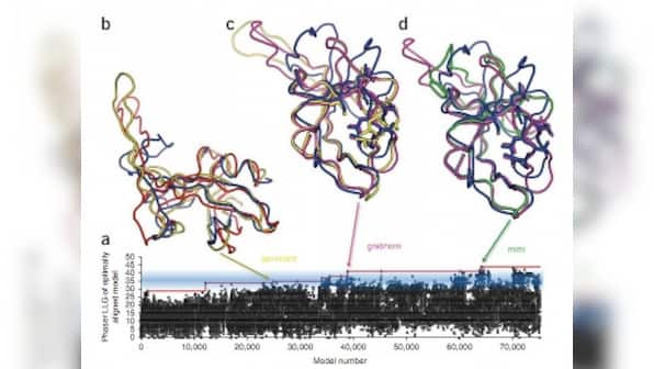 Gamers solve AIDS puzzle in just three weeks 