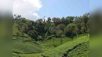 Why private owners must be involved in conservation strategy