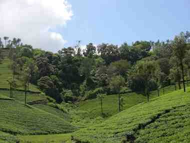 Why private owners must be involved in conservation strategy