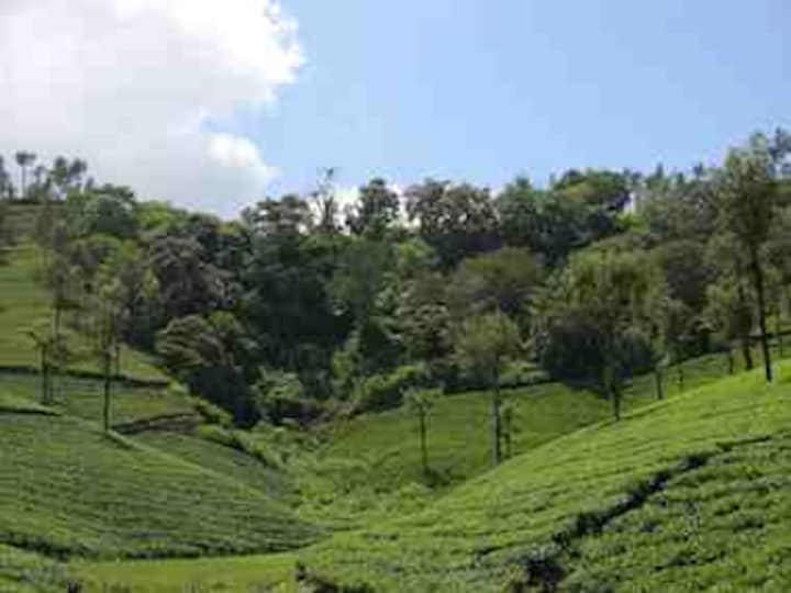 Why private owners must be involved in conservation strategy Why private owners must be involved in conservation strategy