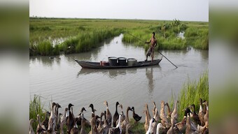 China be dam(ned), Myanmar suspends collaboration on Irrawaddy project