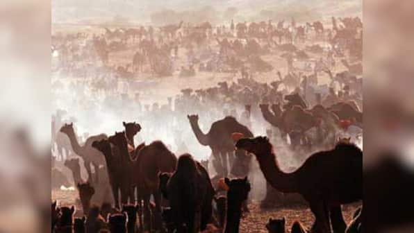 Must-do festival getaways: From Rajasthan to Phnom Penh