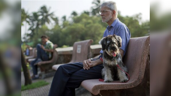 I don’t hate dogs, but I disagree with their owners
