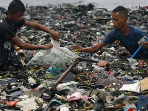 World Environment Day Quiz: How well do you know the issues threatening our planet? World Environment Day Quiz: How well do you know the issues threatening our planet?