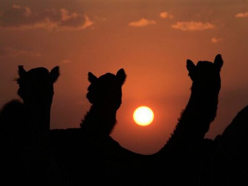 Slideshow: Pushkar's romance with foreign tourists continues Slideshow: Pushkar's romance with foreign tourists continues