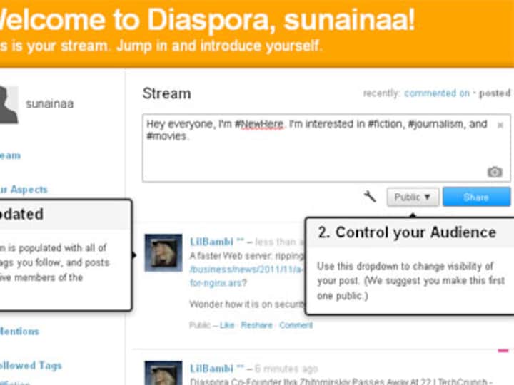 Could Diaspora ever challenge Facebook and Google Plus?   