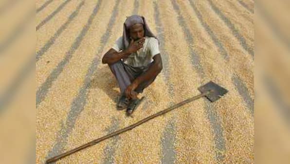 Liberalise farming to improve India's food security: WEF experts