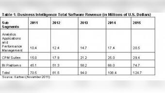 India BI Market To Grow 15.6% In 2012
