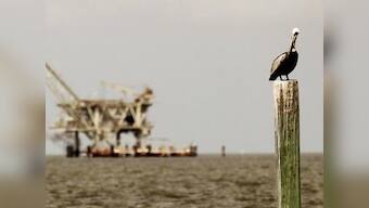 Oil falls below $99 after surprise US supply rise