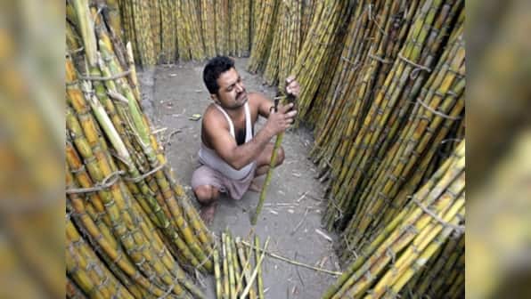 Shree Renuka hits 2-year low, blames Brazilian unit for losses