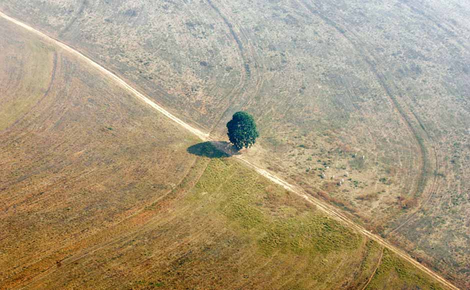 What used to be a forest in Brazil. Deforestation is adding to global warming. Reuters 