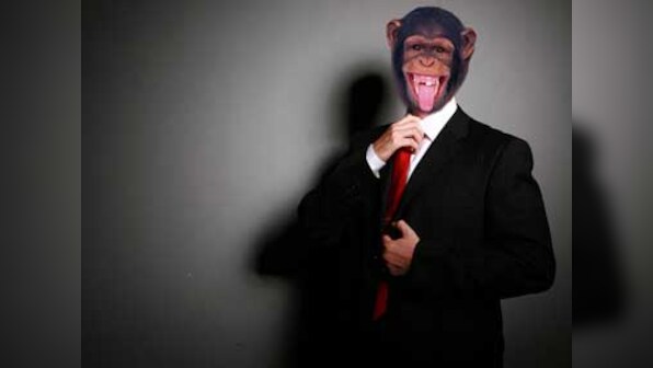 Monkey 1 clambers ahead; Monkey 2  is out for count