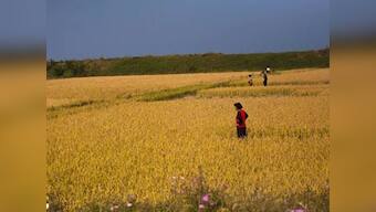 Kim Jong Il's death delays first food aid from US to North Korea