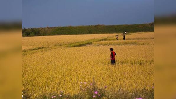 Kim Jong Il's death delays first food aid from US to North Korea