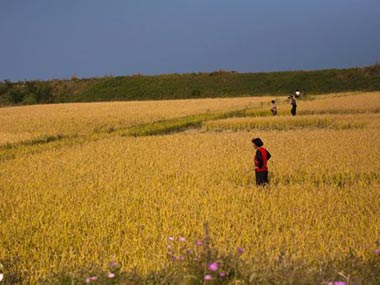 Kim Jong Il's death delays first food aid from US to North Korea Kim Jong Il's death delays first food aid from US to North Korea