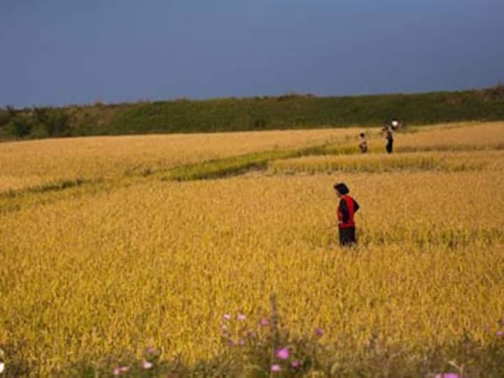 Kim Jong Il's death delays first food aid from US to North Korea Kim Jong Il's death delays first food aid from US to North Korea