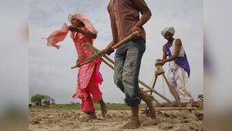 Incentivise pvt cos to invest in agriculture: Par panel to states