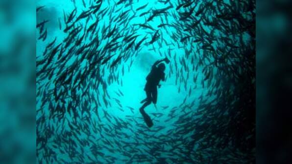 Ignorance can promote democracy: study