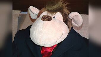 Monkeys find Xmas cheer, but hope 2012 will be better 