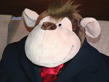 Monkeys find Xmas cheer, but hope 2012 will be better Monkeys find Xmas cheer, but hope 2012 will be better