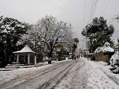 Snowfall in punjab | Latest News on Snowfall-in-punjab | Breaking Stories  and Opinion Articles - Firstpost