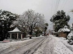 Snowfall in punjab | Latest News on Snowfall-in-punjab | Breaking Stories and Opinion Articles - Firstpost