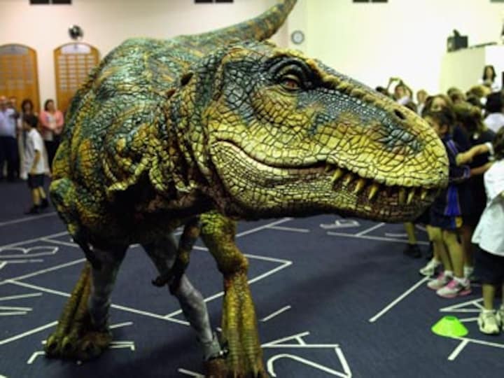 Last African dinosaur's remains discovered in Morocco mine, says scientists