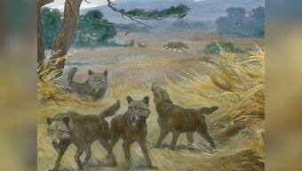 An ode to the Werewolf: fantasy fiction's most popular shape-shifter 