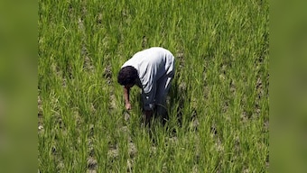 Budget 2012-13: Will agriculture and infra be key beneficiaries?