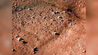 Mars rocks fell in Africa last July